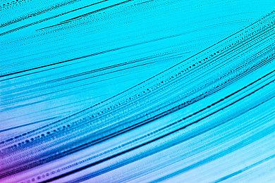 传言称《龙珠Z：电光火石0》登场角色数量庞大